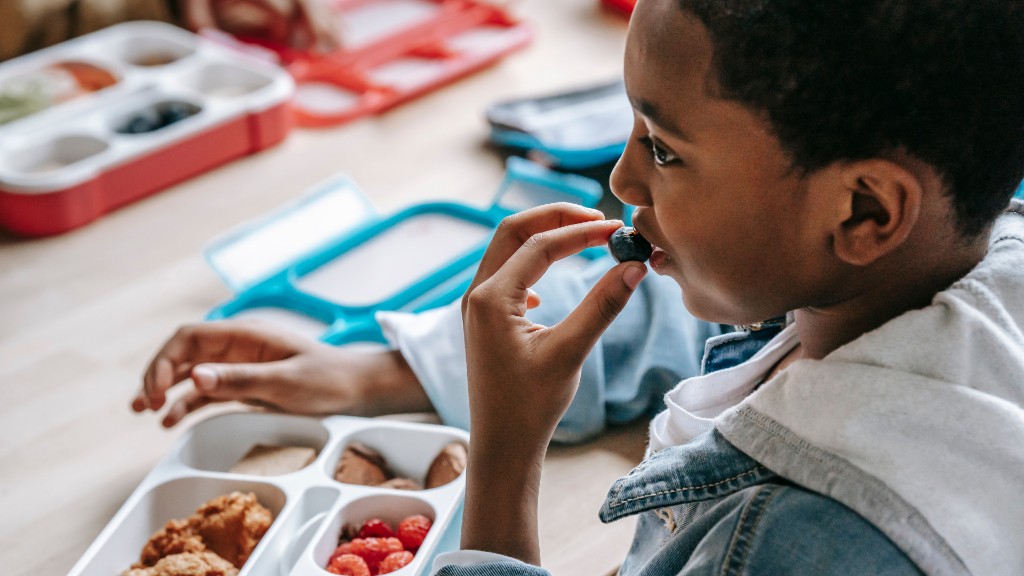 A young boy eating a blueberry from a bento lunchbox with chicken, raspberries, and crackers at a table